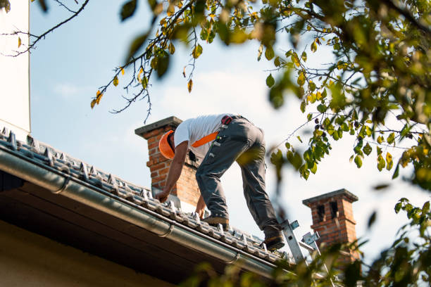 Roof Gutter Cleaning in Fairfield Glade, TN